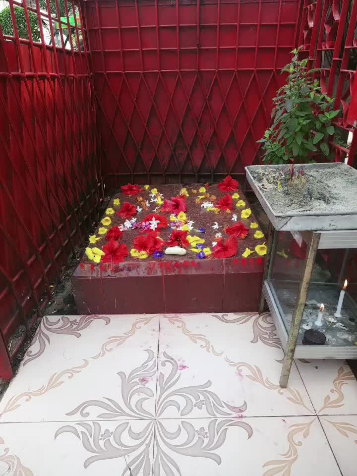 @sadon sen