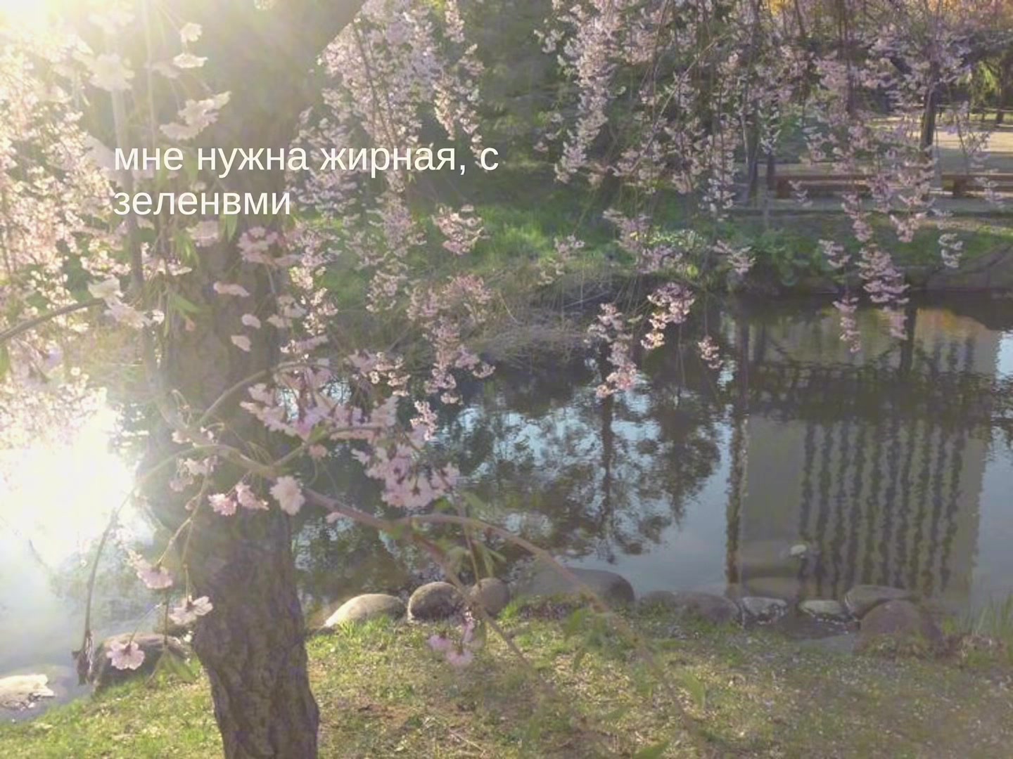 @ℳ