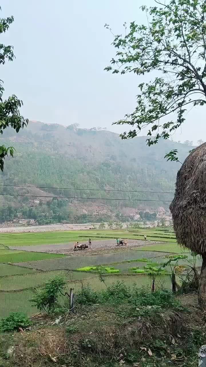 @janaki devkota