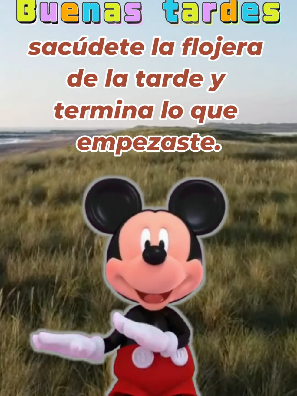 @Oswaldo Biurcos
