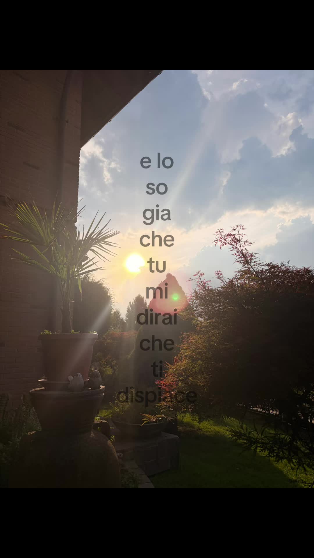 @marty_⭐️