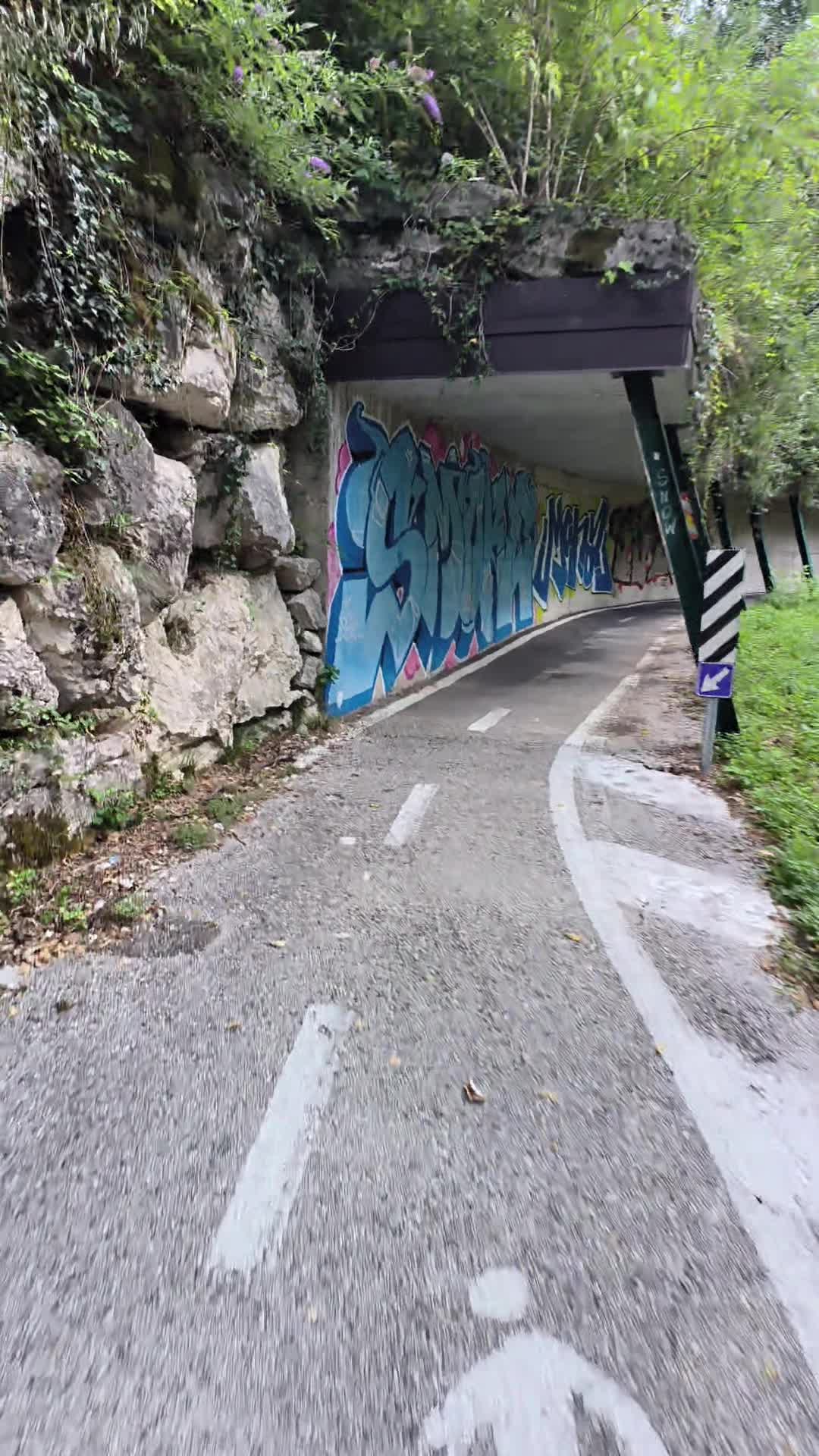 @biondina74
