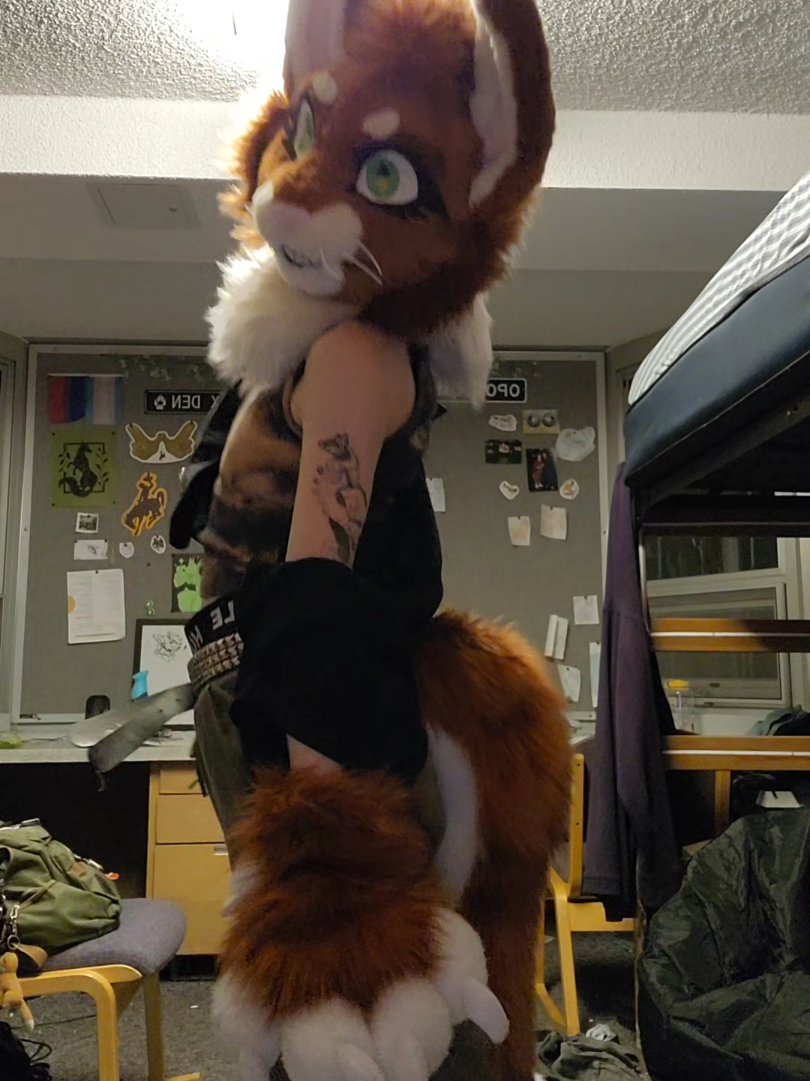 @★FrenziFox★ 🔜 Denfur '26