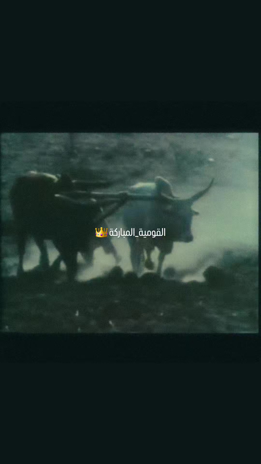 @☆《🇵🇸@السنوار"&curren;: