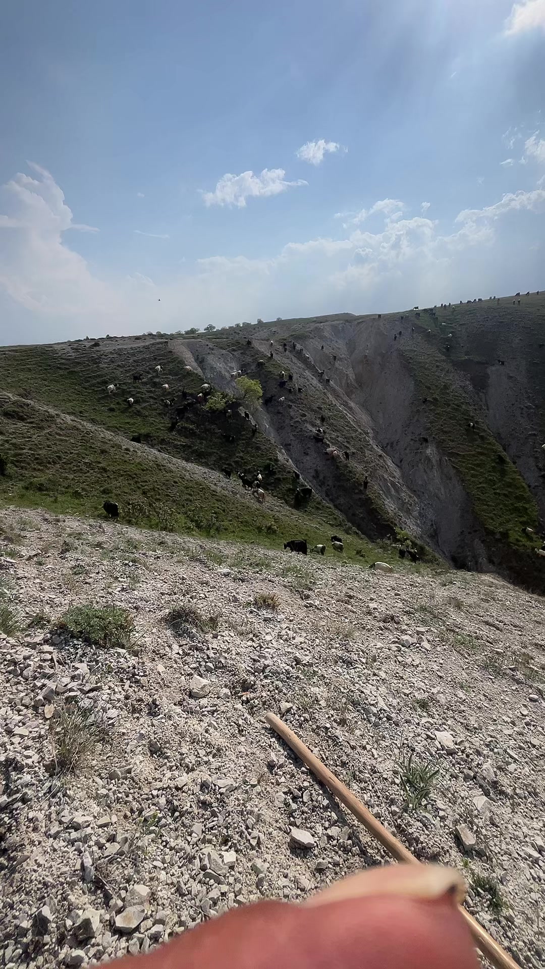 @Gazi.sarıkaya