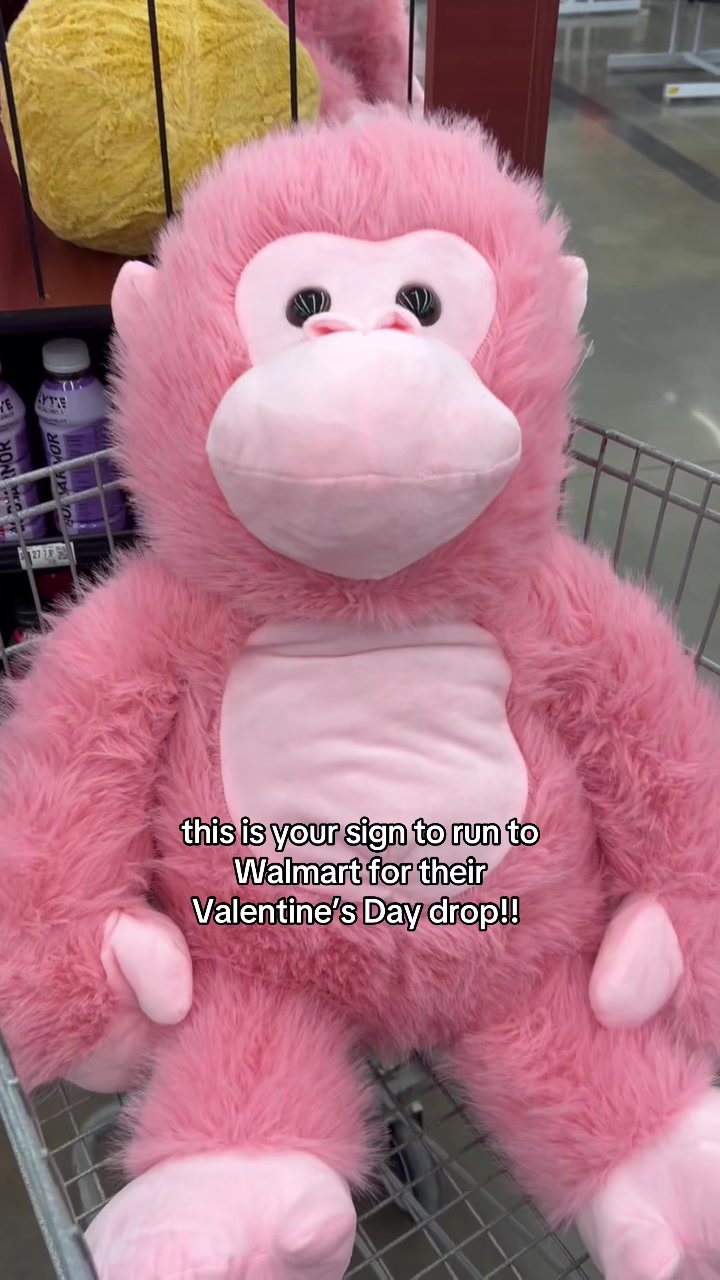 @Sydni