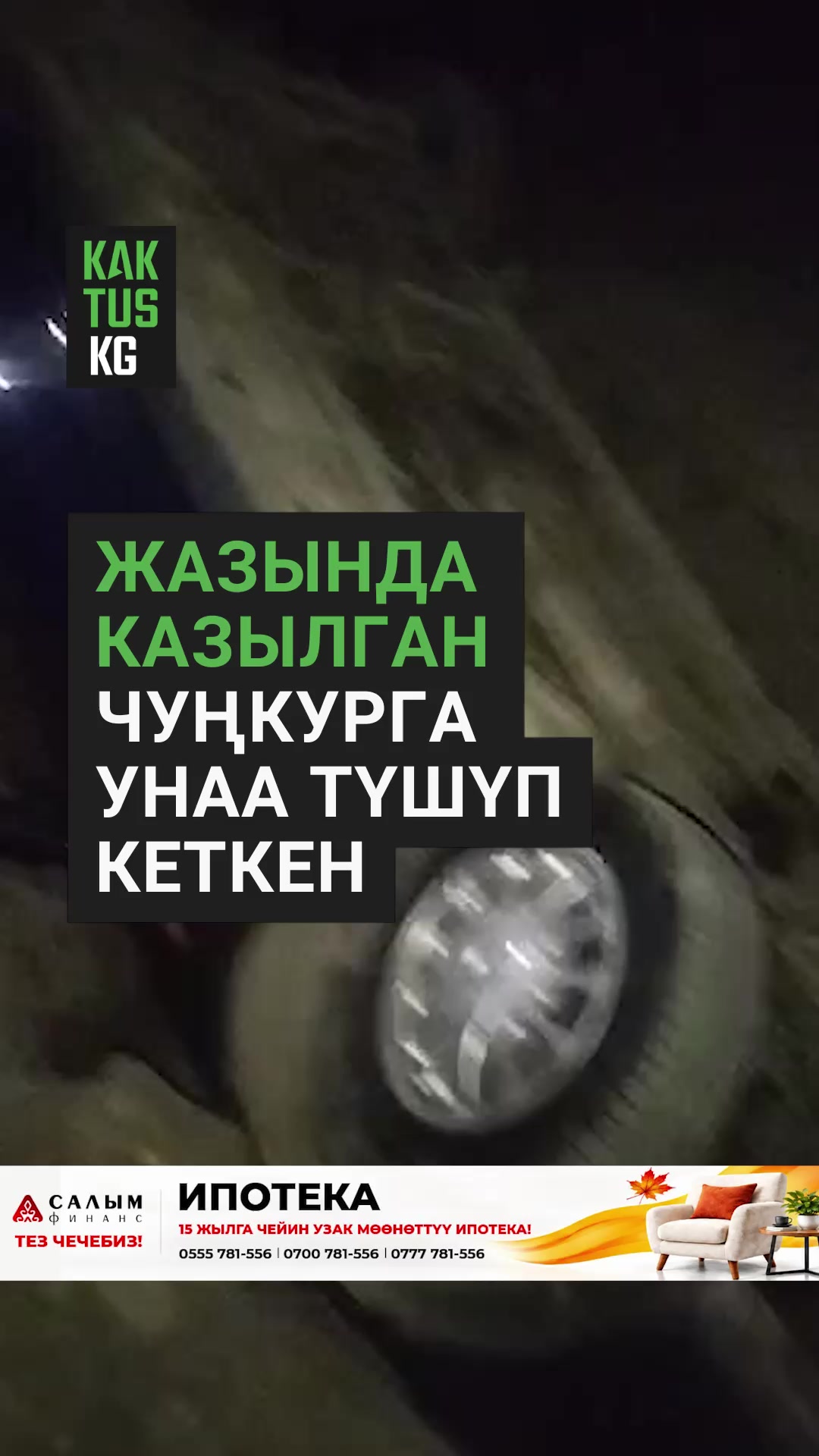 @Kaktus KG
