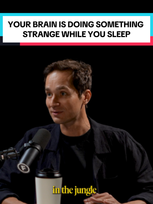 @Podcast Clips