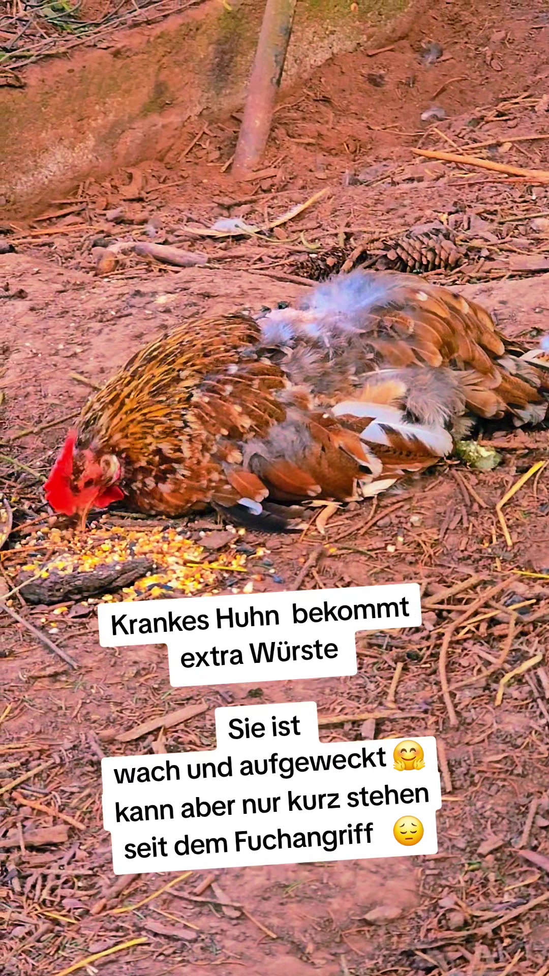 @Mandy-Katharina Neis