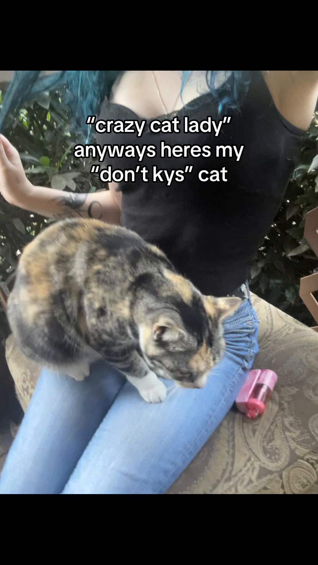 @imma nice kitty ! :3๐