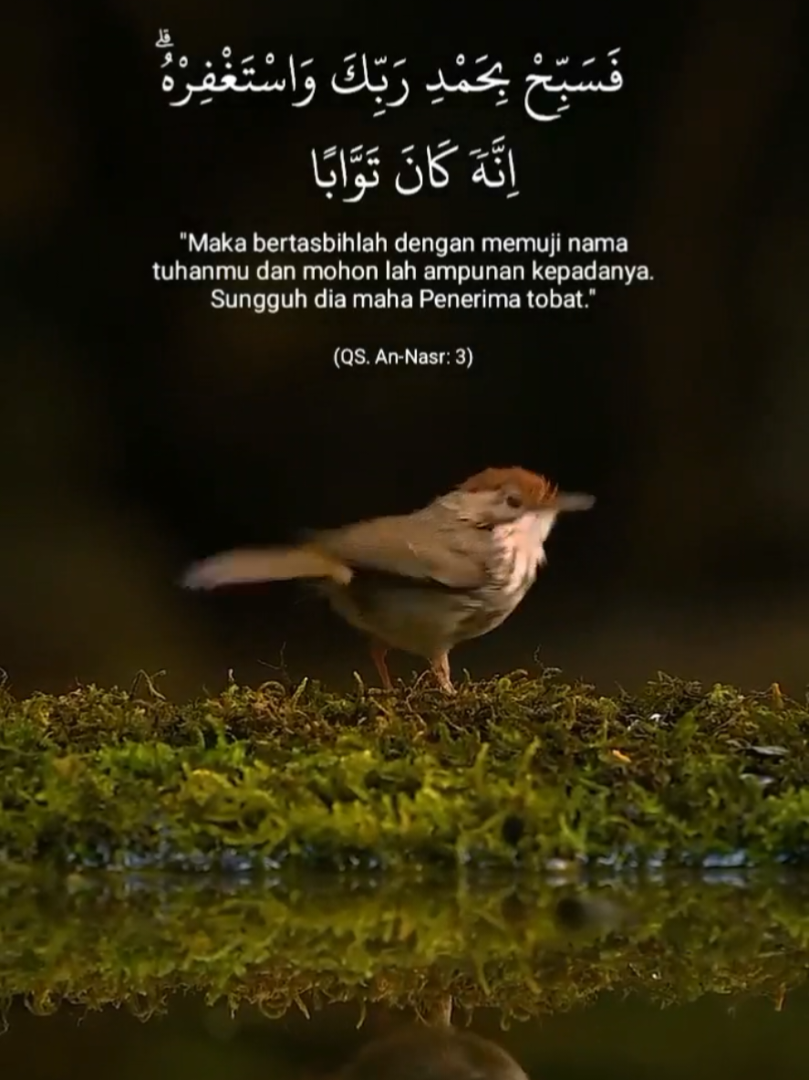 @Tulisan Cantik