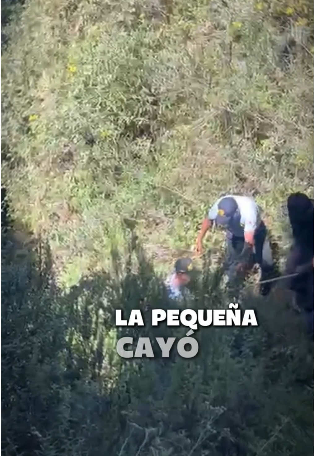 @Policía WAYKI