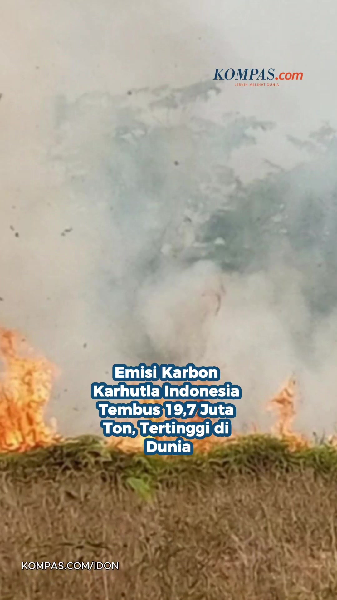 @Kompas.com