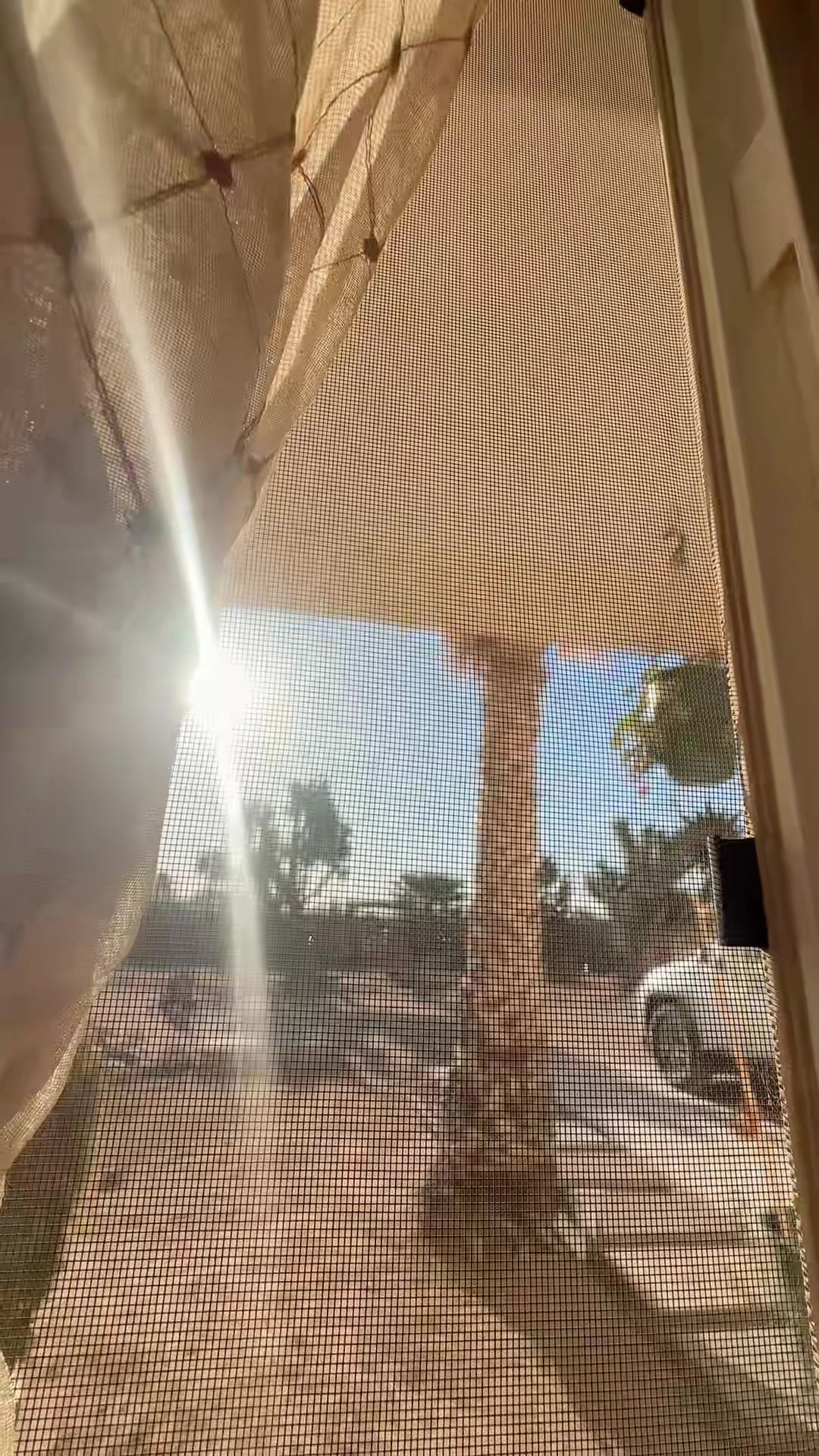 @Dianatv