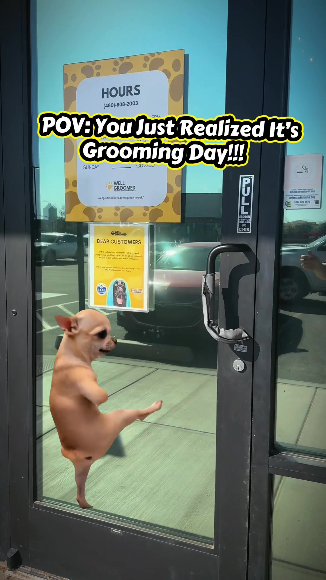 @Well Groomed Queen Creek
