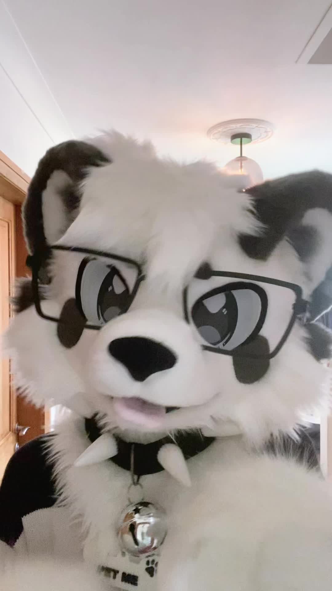 @🎬Lykoi🐾