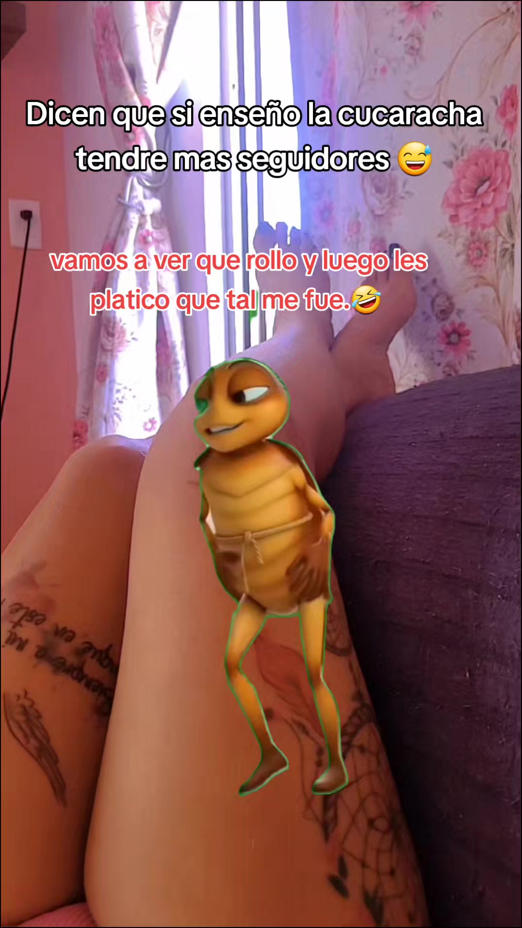 @Sara Villalobos