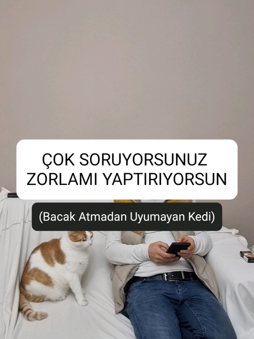 @kedichico