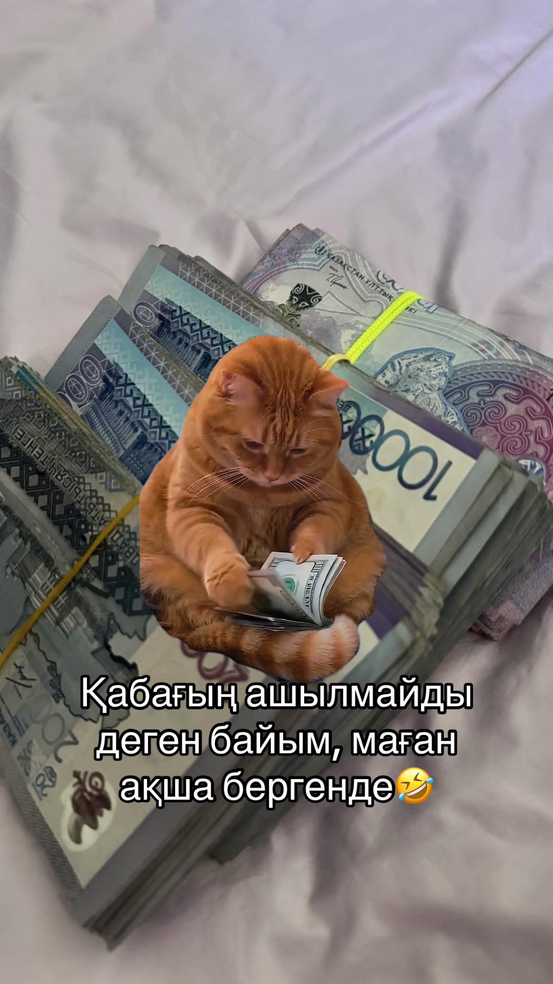 @Динараның 3 өмірі👩🏻🤱🏻