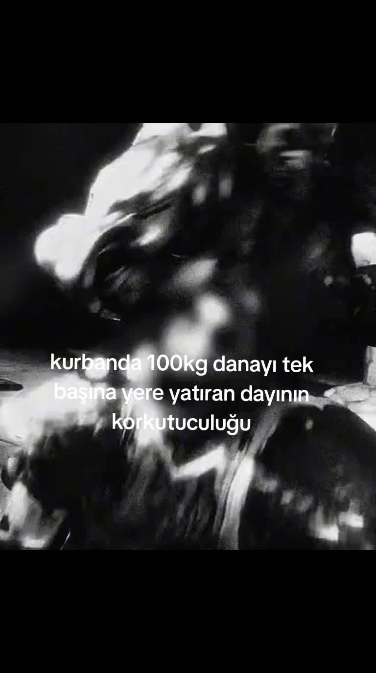 @⩷☄ ℬℯ𝒹𝓇𝒶𝓃 ☆≛