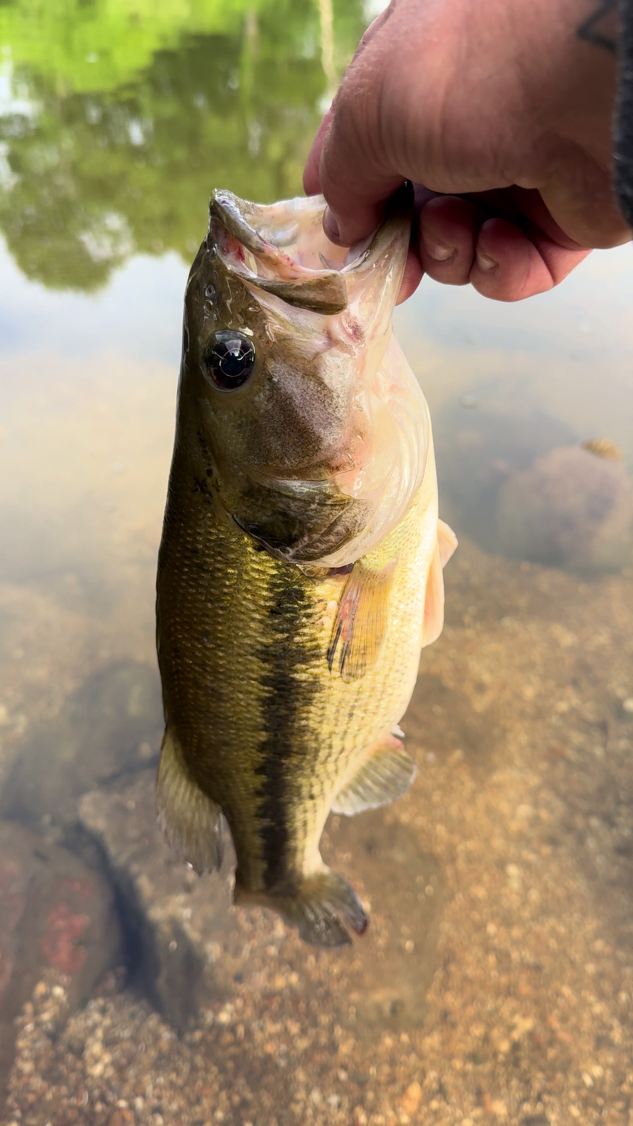 @OkieOnTheRiver