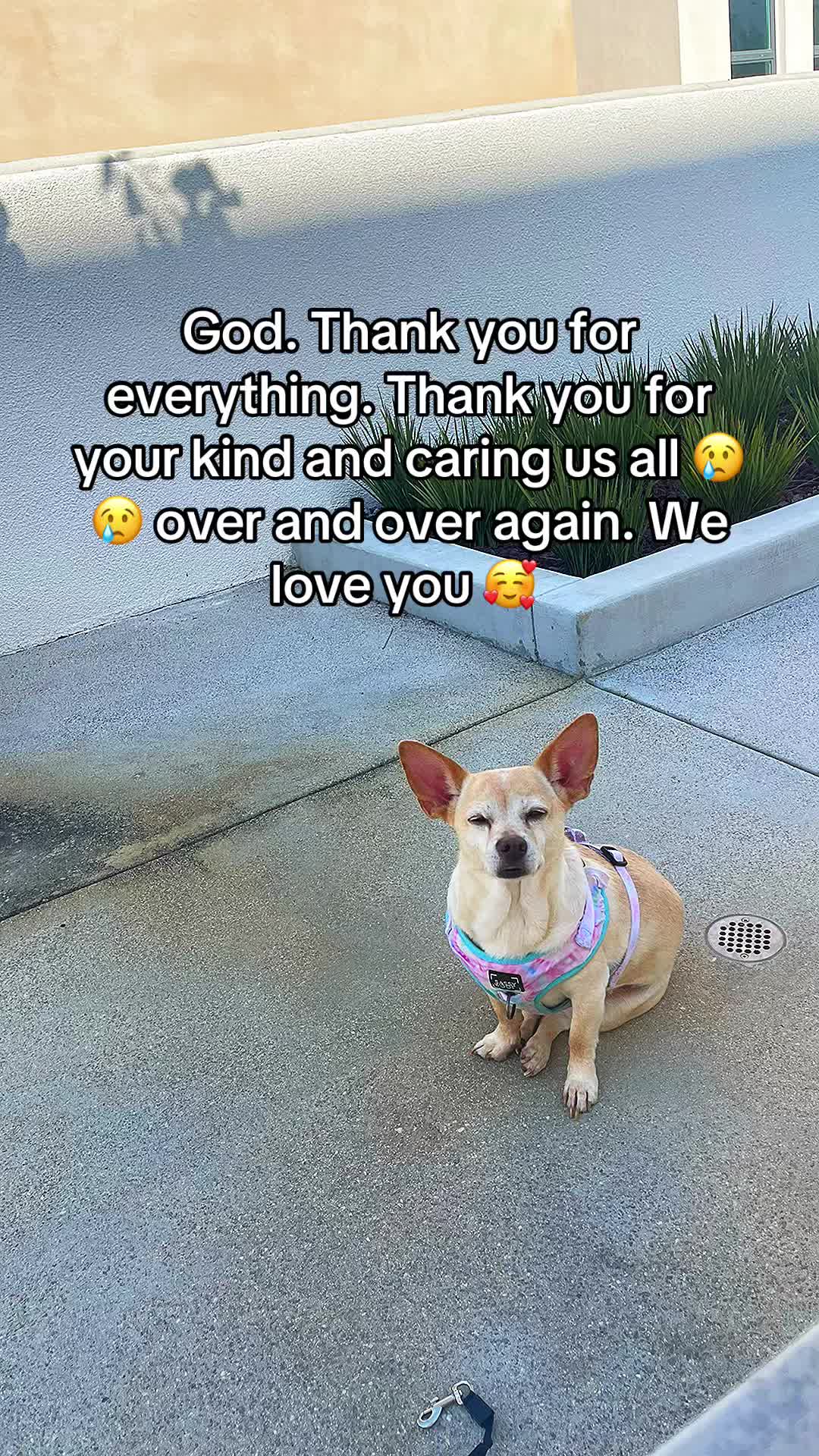 @Happy@Mama