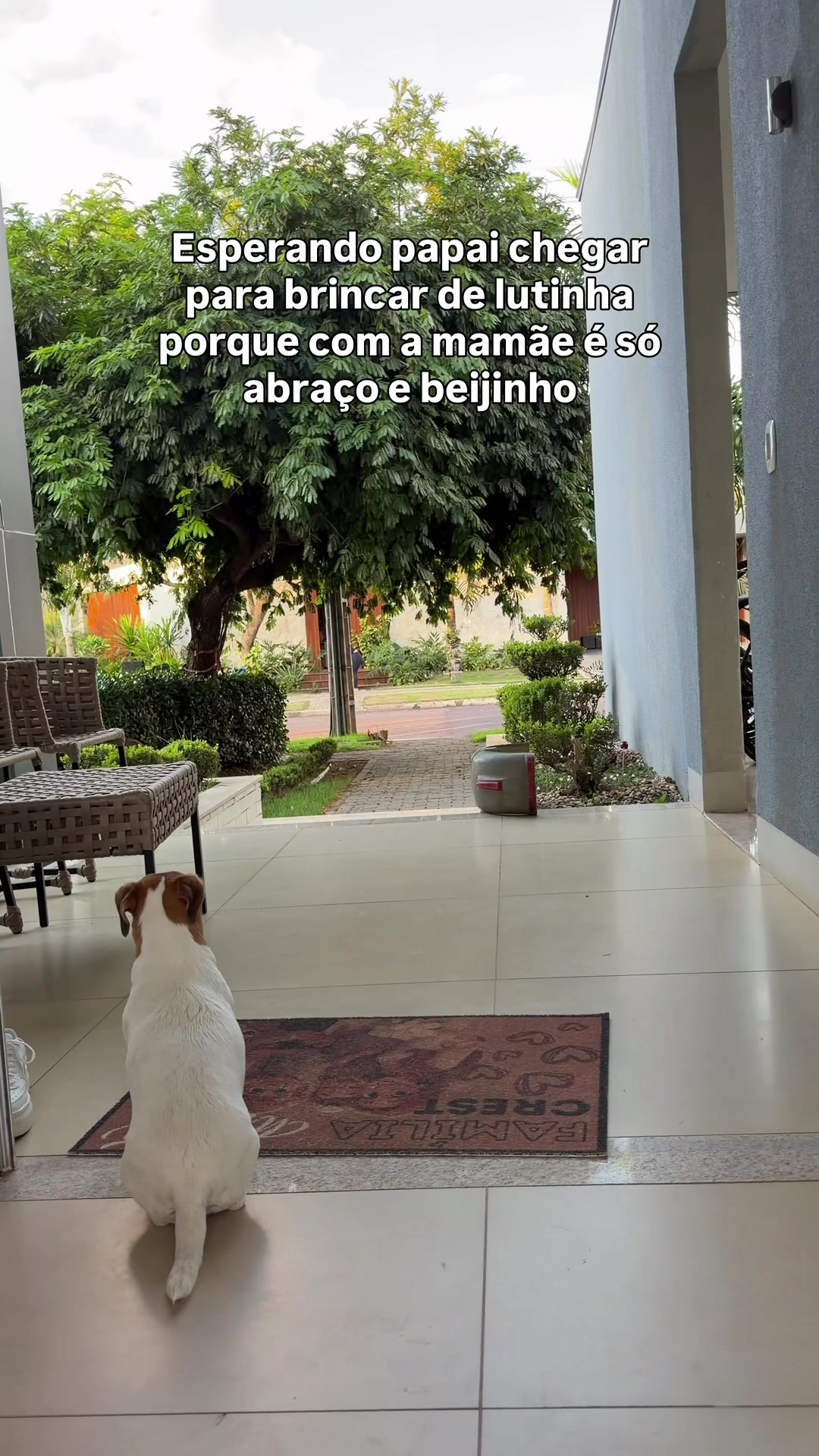 @Edybsa