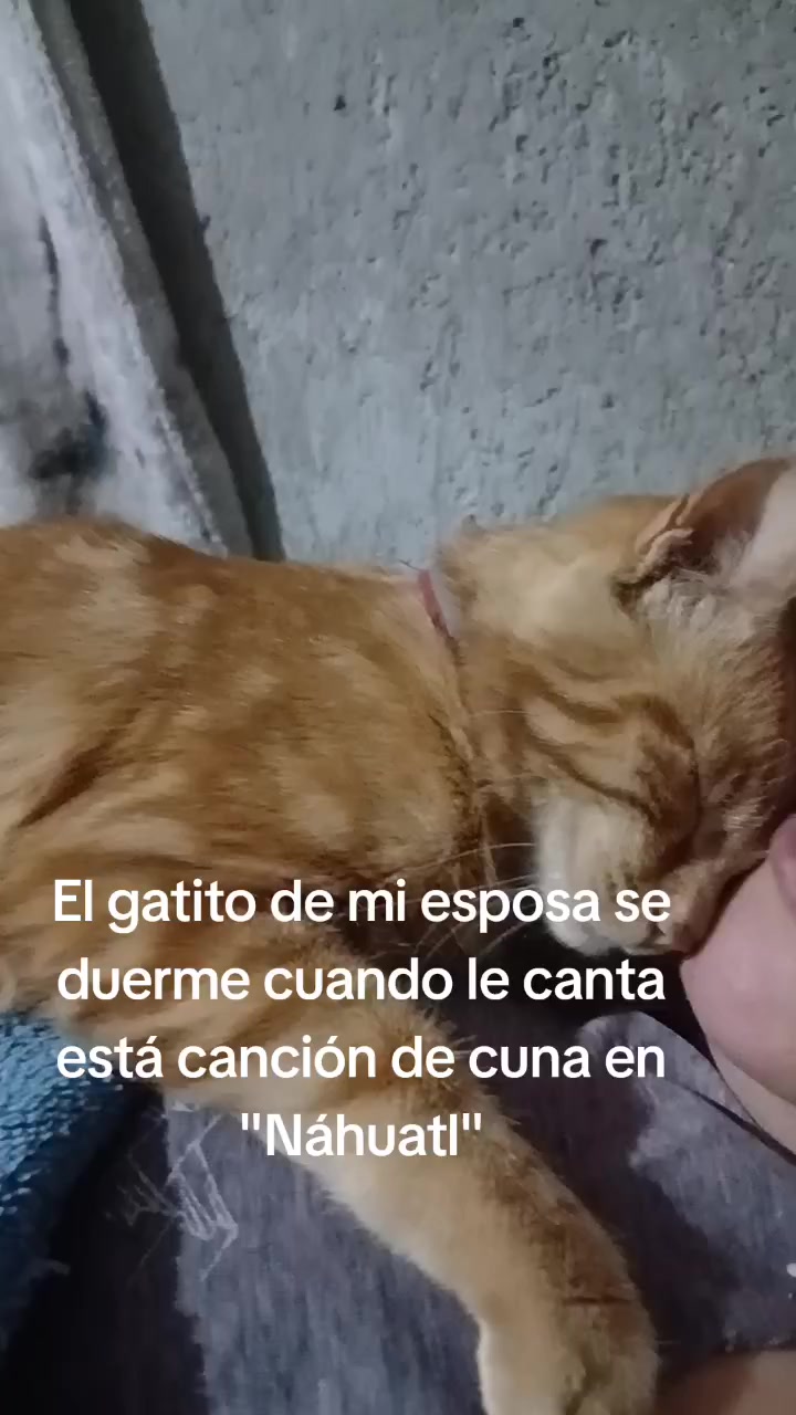 @Pandajadas!