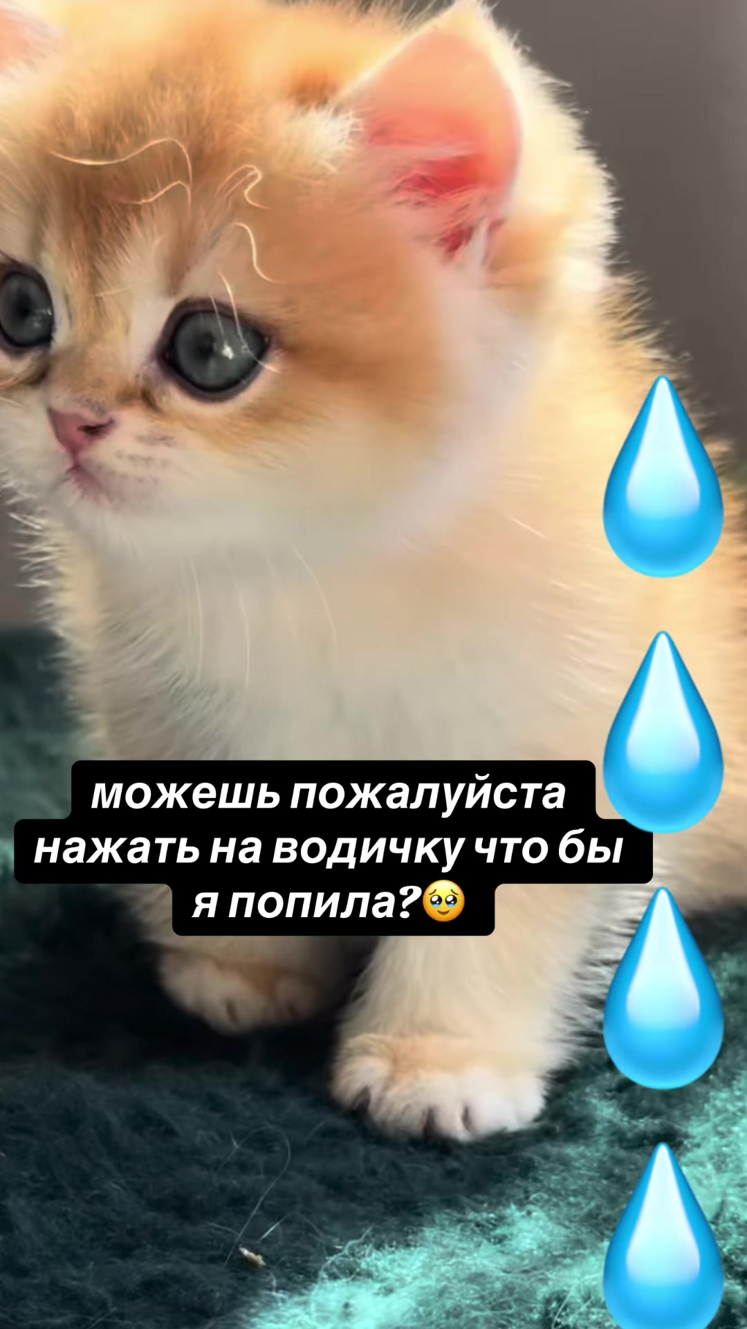 @kaboompriut