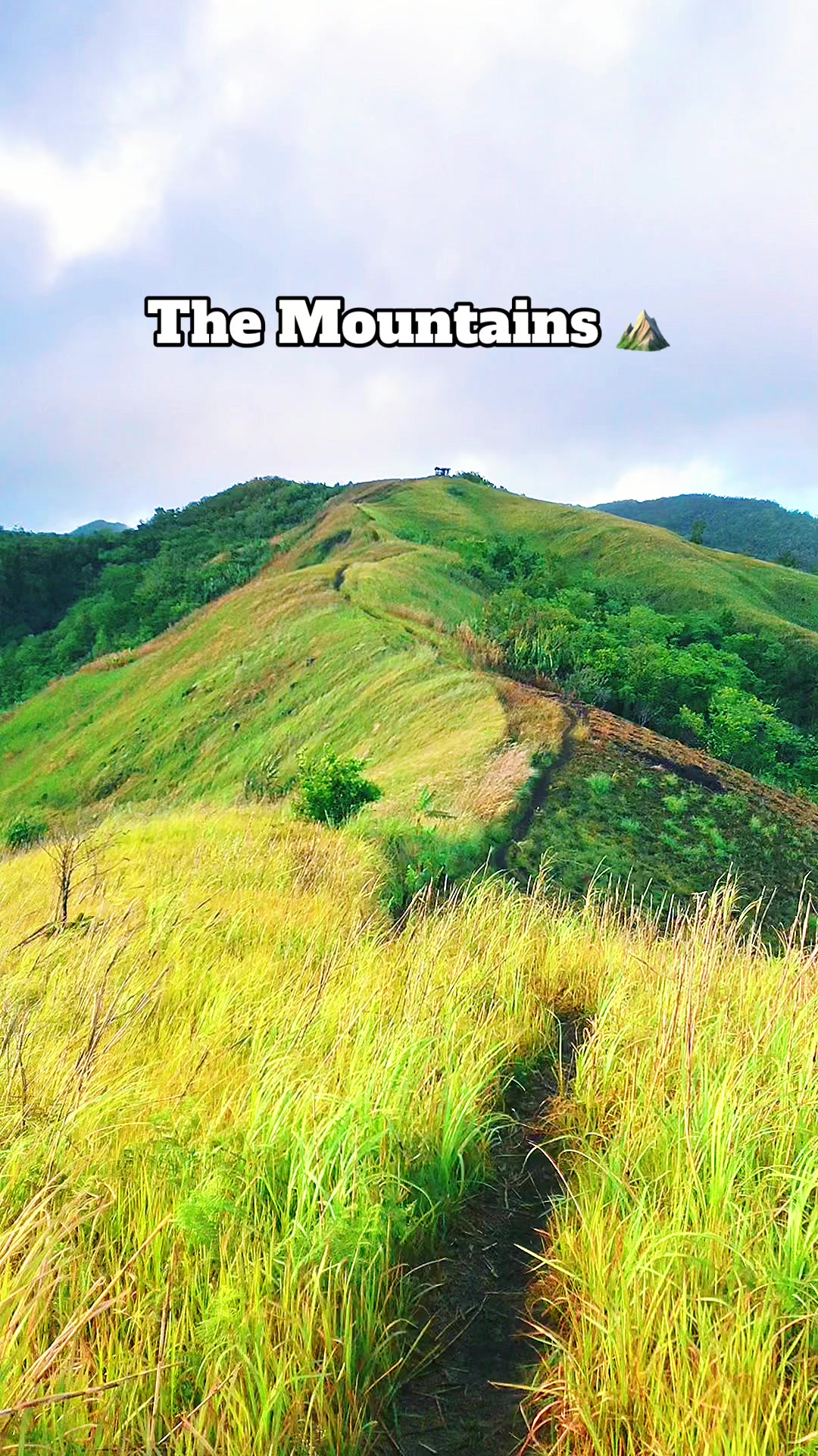 @Jade Montuya