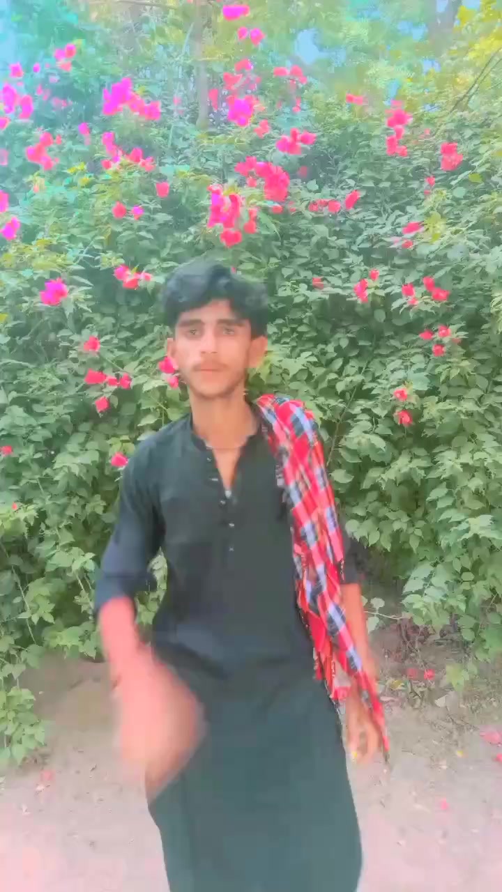 @w d king
