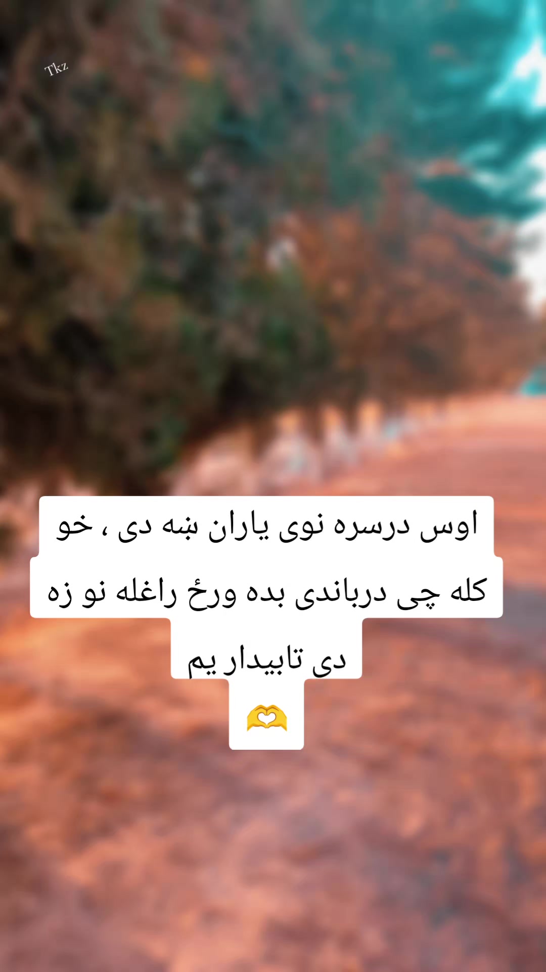 @Tayeb khan Sanzar
