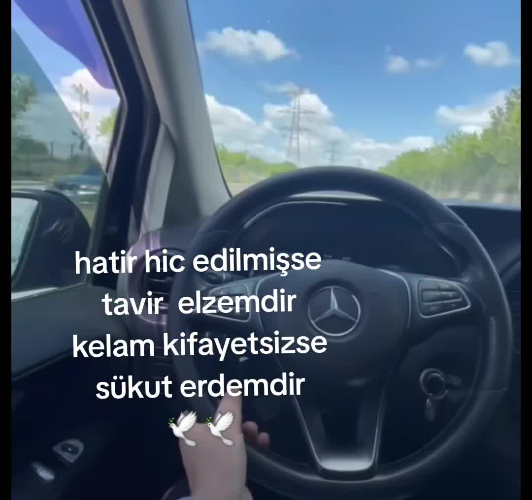 @güvercin🕊