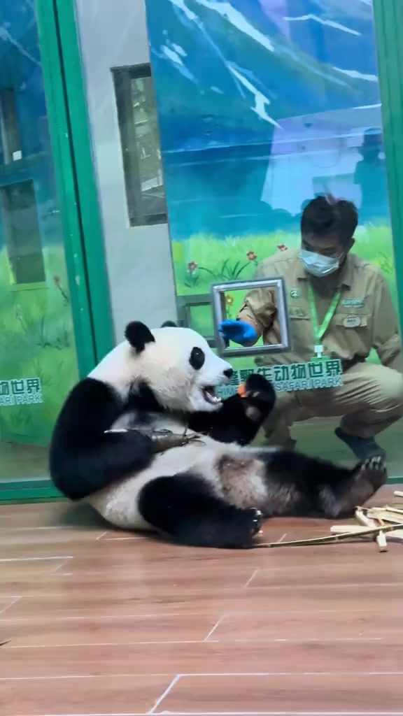 @熊猫妹珠🐼