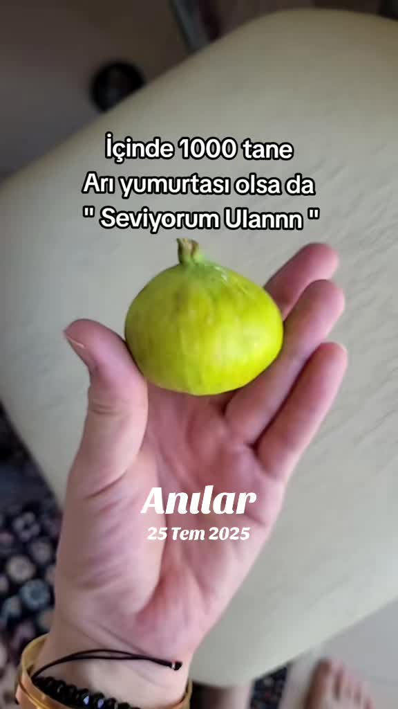 @Ayşen