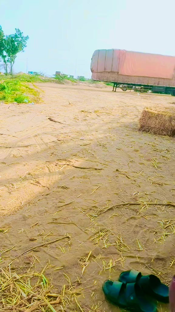 @نوید بلوچ 🇸🇦