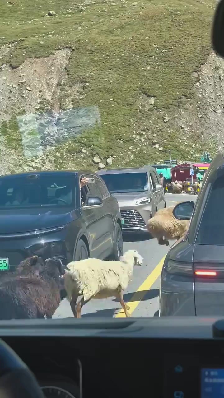 @🇲🇽MAYOREO QIHUO MÉXICO🇲🇽