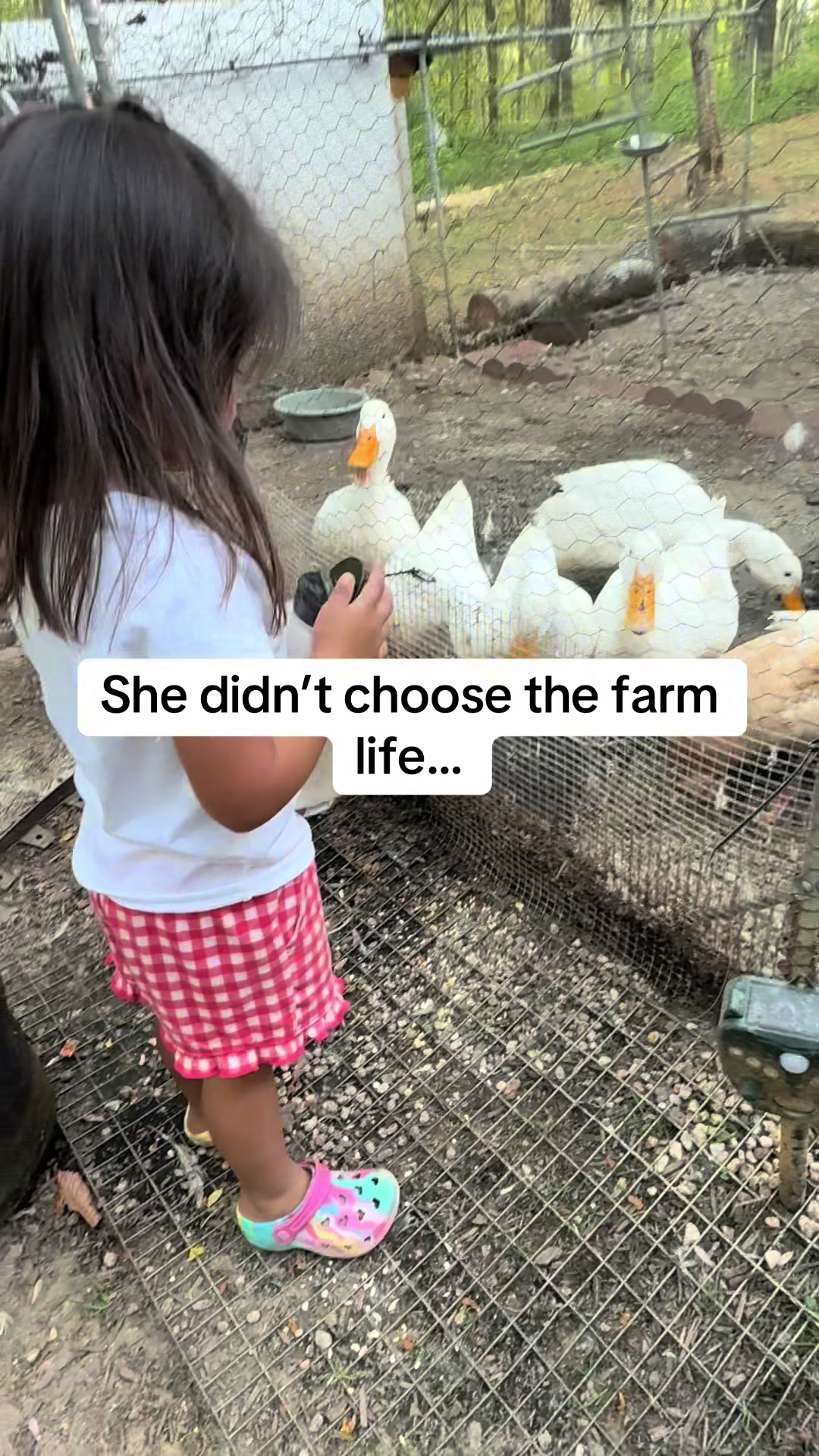 @✝️🌻🦆Mela’s Homestead🦆🌻🇵🇭