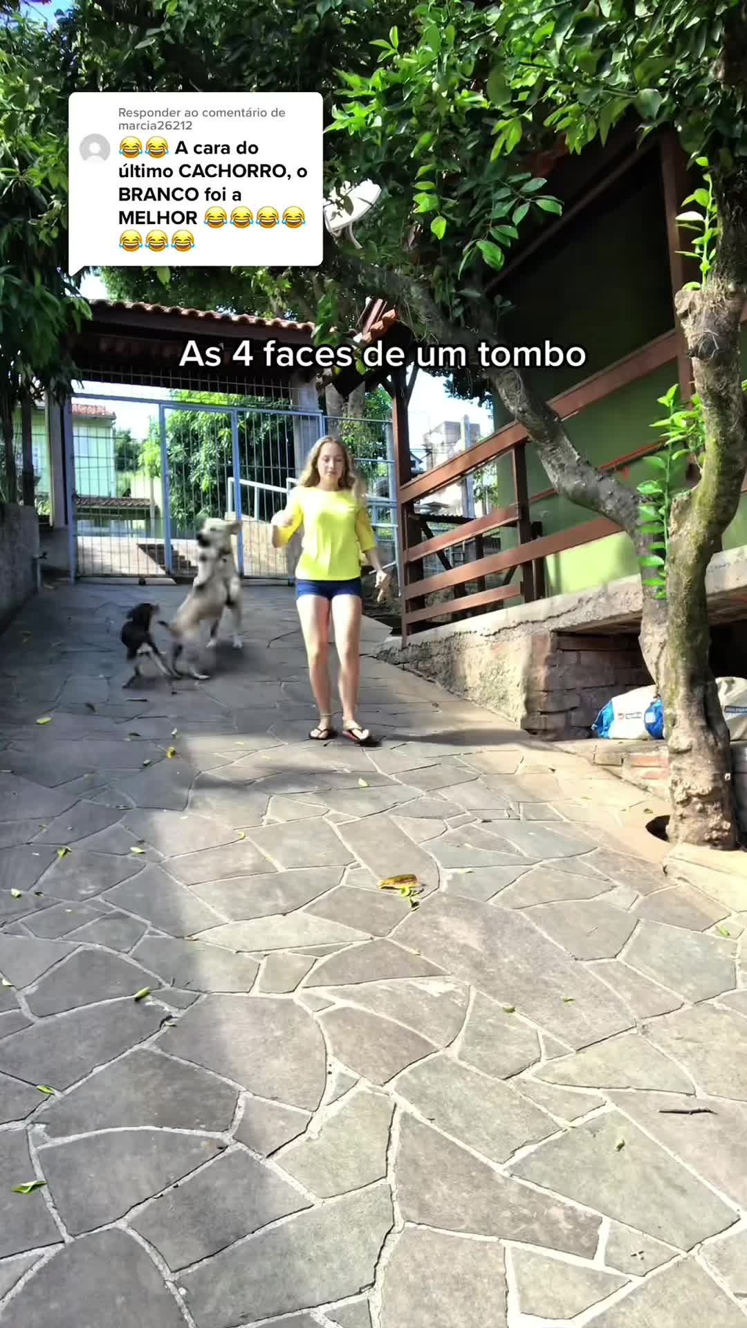 @funnyvideo3782