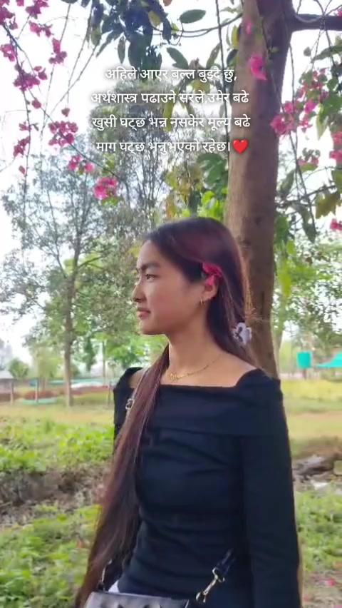 @ALG🌸