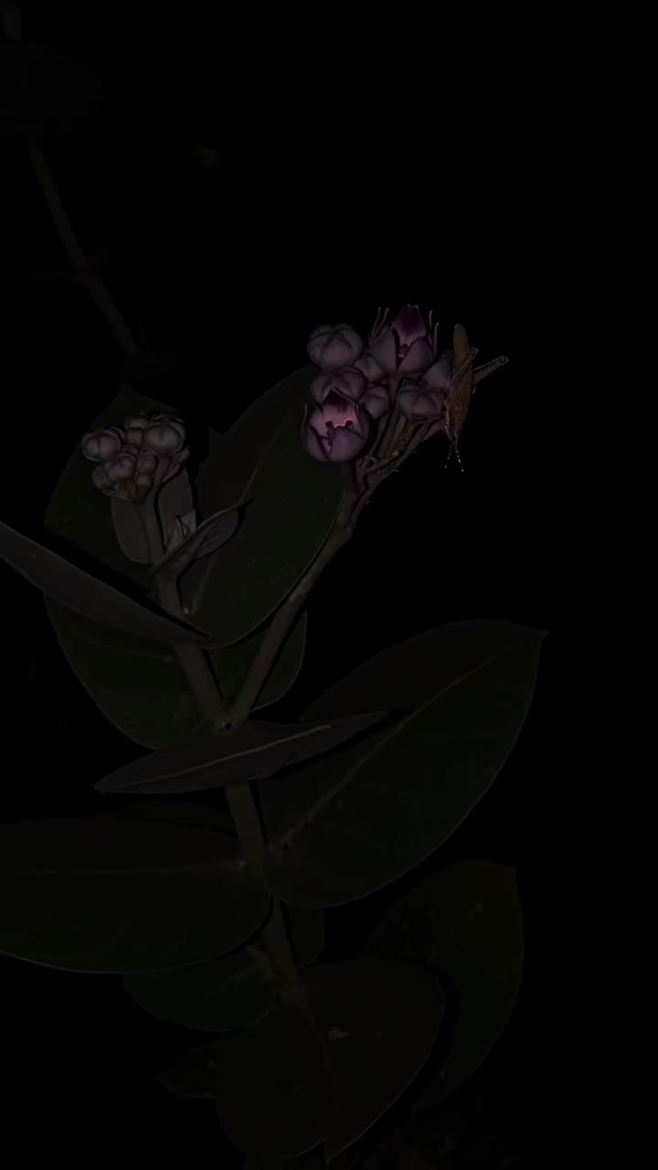 @𝑬 𝑴 𝑨 𝑵 ♥️