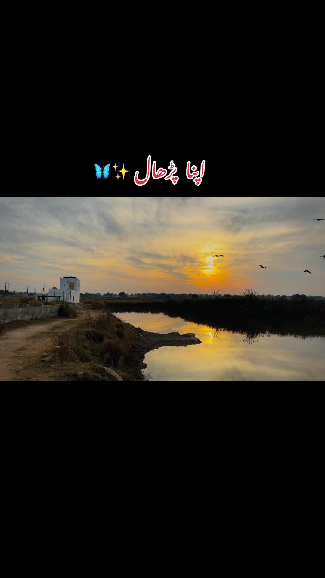 @پڑھال آلے ۔🦋🥀