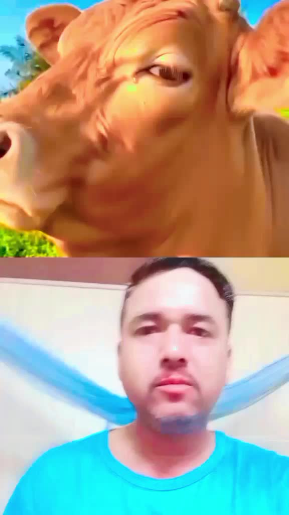 @🕉🚩 ¢нαυнαη σƒƒι¢ιαℓ 🇮🇳🙏✊