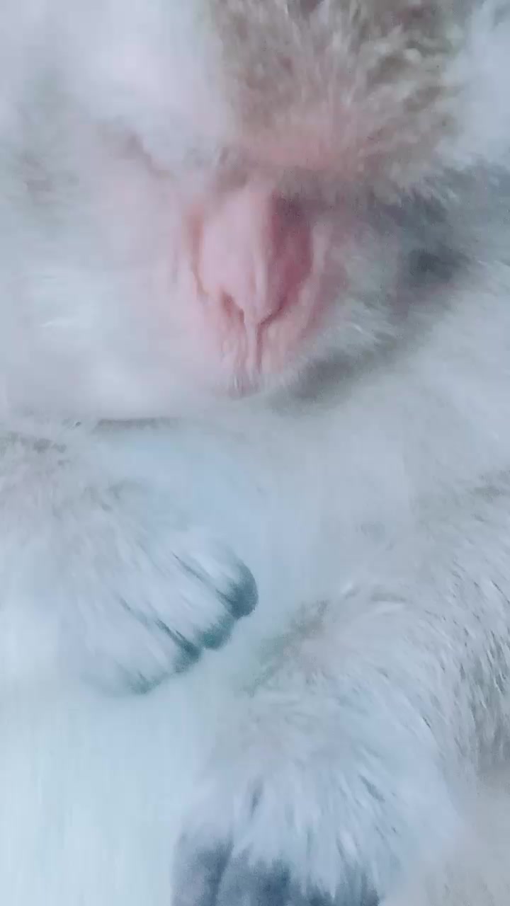 @SAHABAT SI MOMO