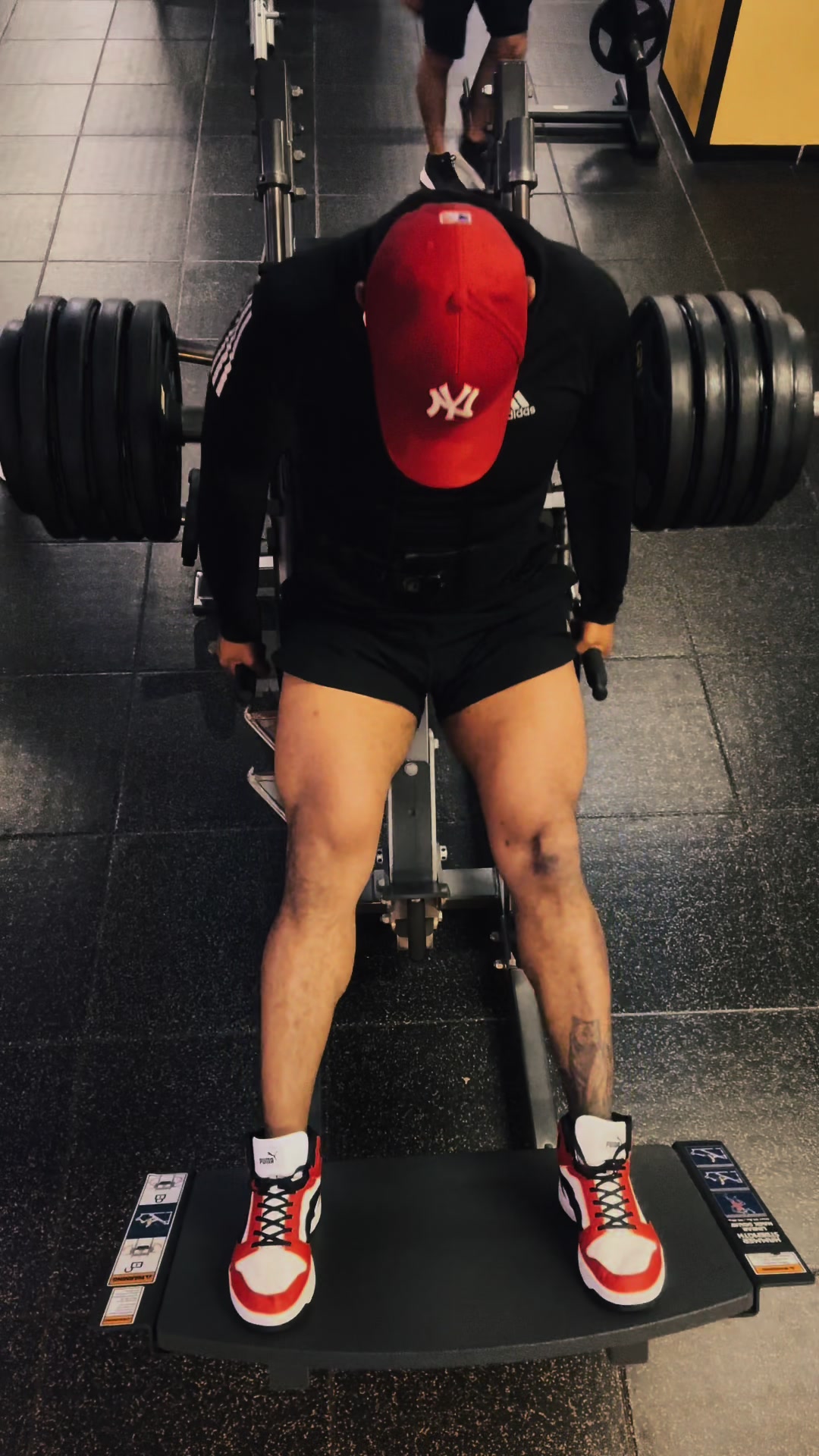@Harry_Fit