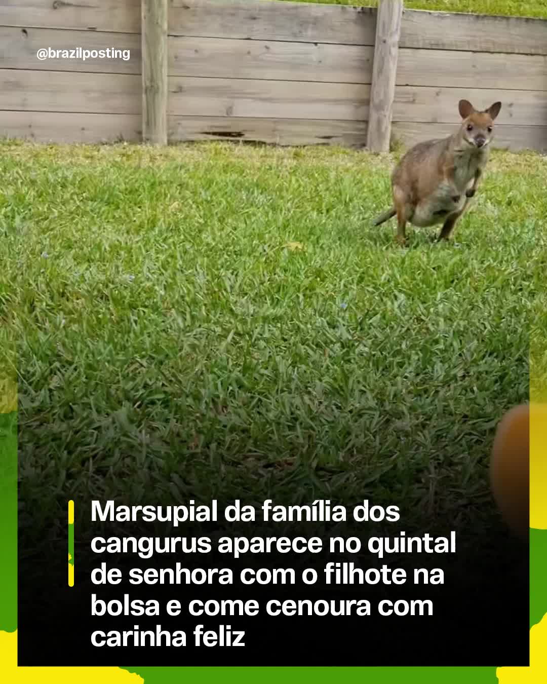 @Brazil Posting
