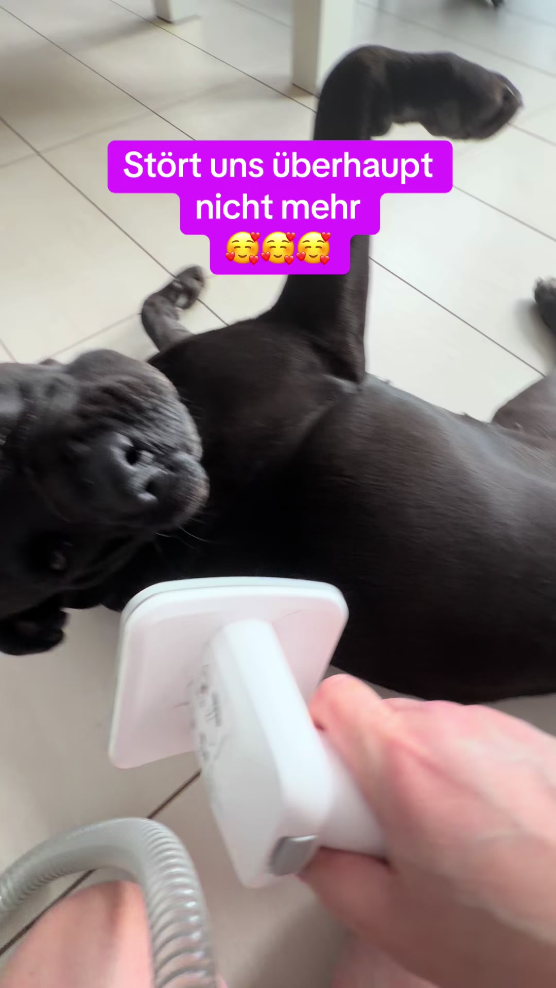 @Braunici
