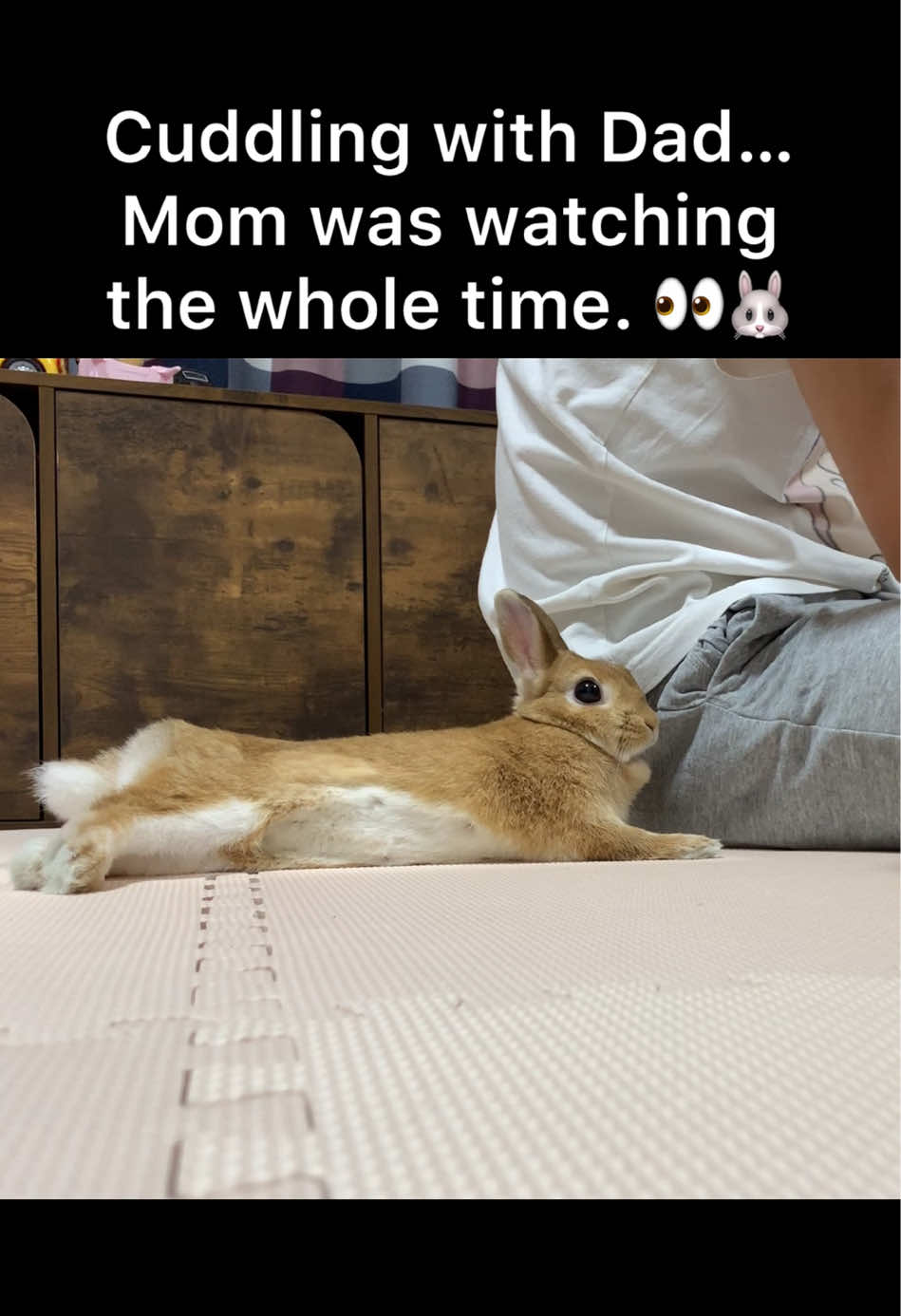 @rabbit man