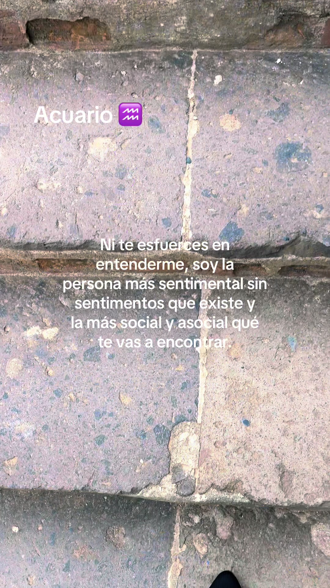@Victoria Navarro