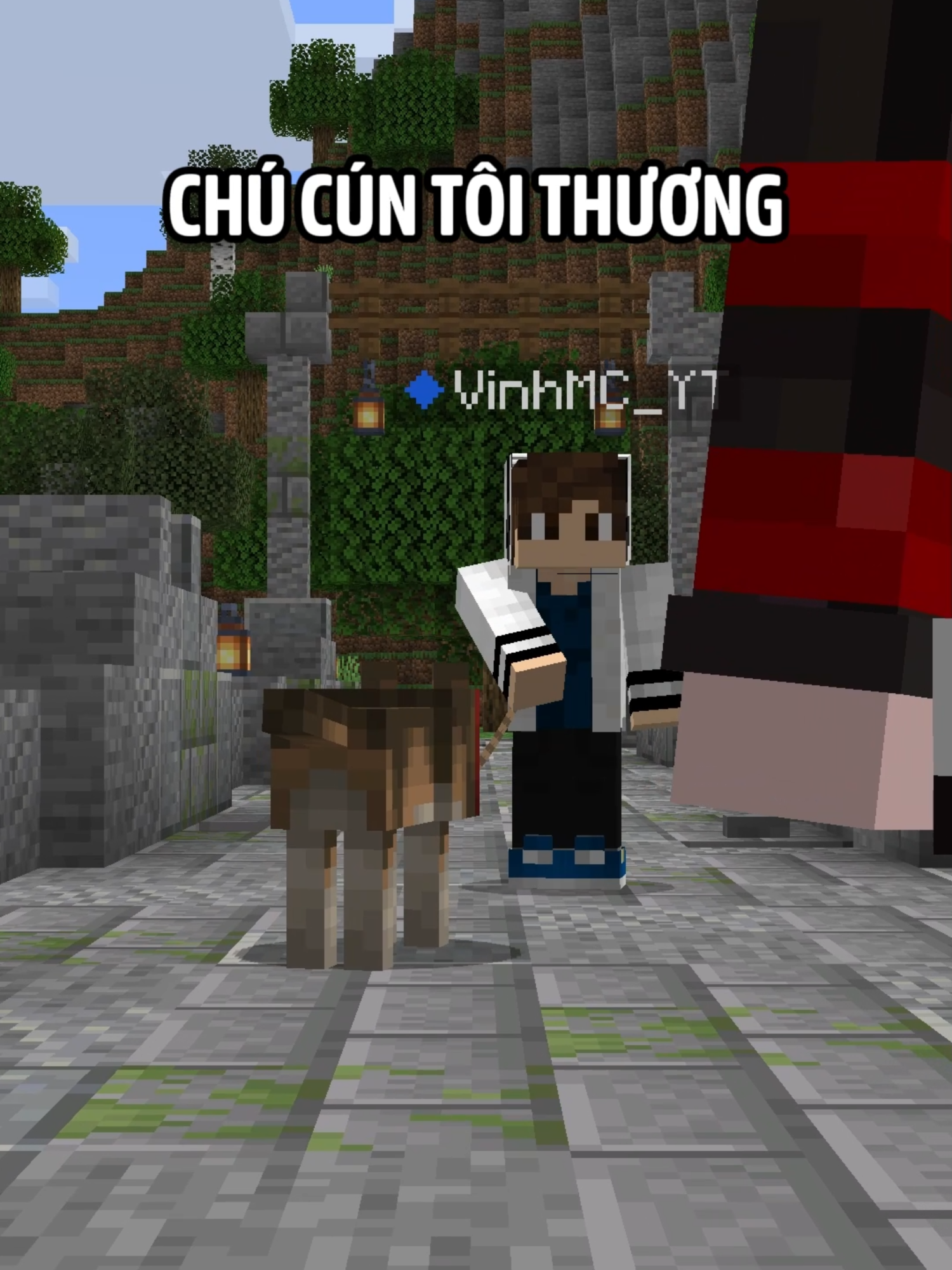 @Chysun